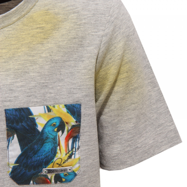 0913W maglia bimbo ROBERTO CAVALLI grey/yellow cotton t-shirt kid