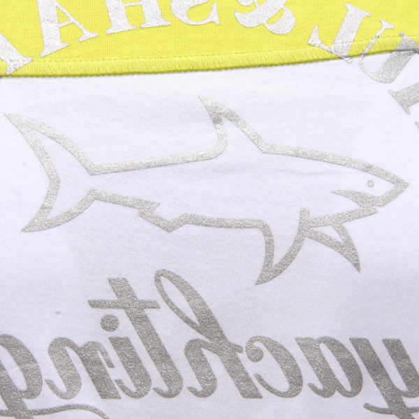 1544AH maglia uomo PAUL&SHARK grey/lime cotton t-shirt man