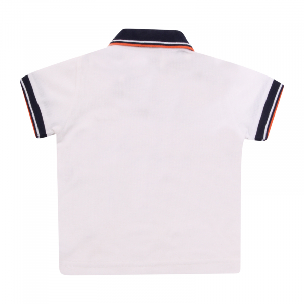 7734AP polo bimbo IL GUFO boy kids polo