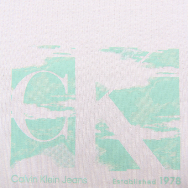 I8738 MAGLIA UOMO CALVIN KLEIN JEANS MAN T-SHIRT