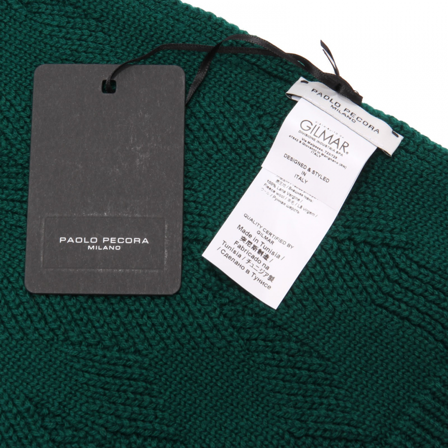 Sweater PAOLO PECORA Men color Green