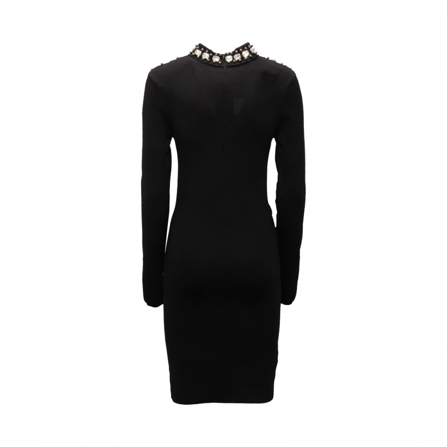 Pinko dress black top