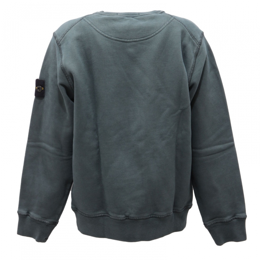 Stone island frost online hoodie
